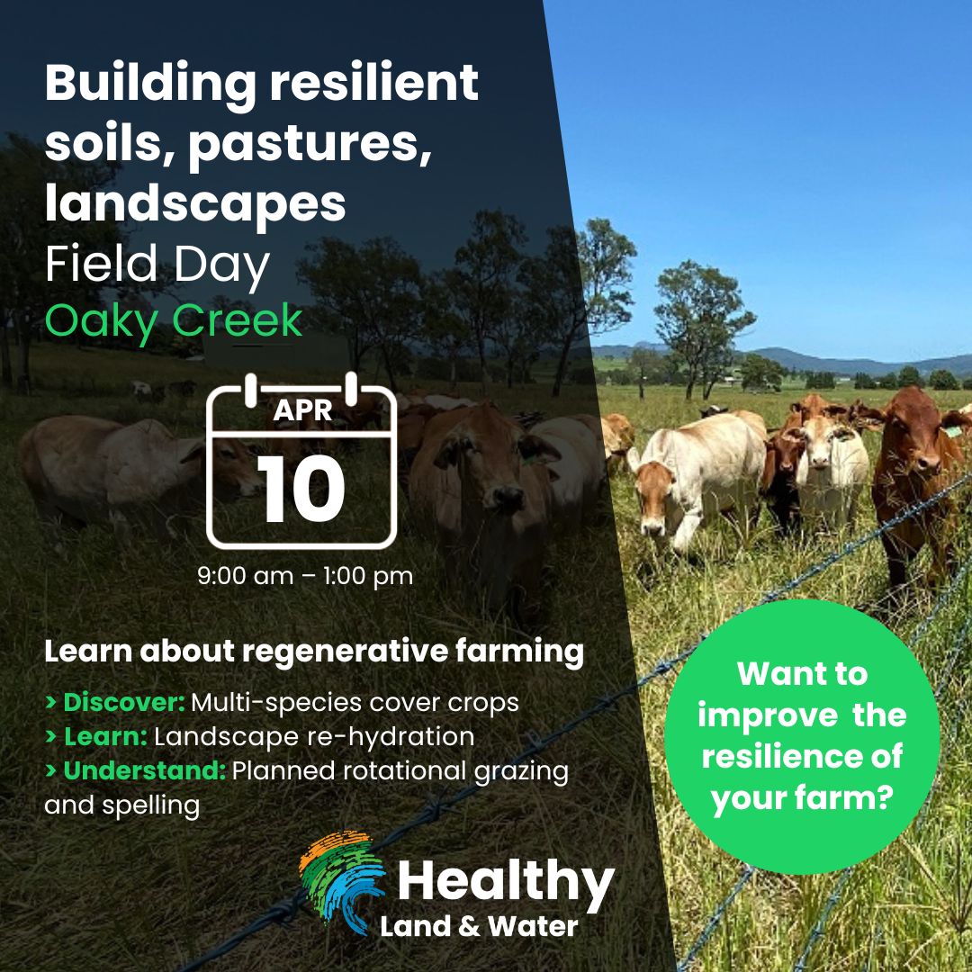 Building resilient soils, pastures, landscapes | Oaky Creek