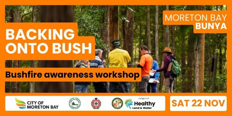 Backing Onto Bush | Bunya
