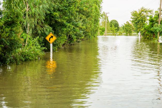 65 Projects funded to help Queenslanders bounce back after fires, floods, storms, or cyclones!
