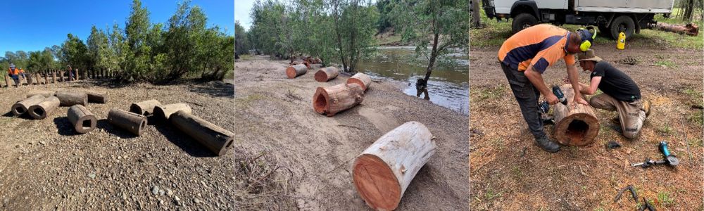 Cod Log logs