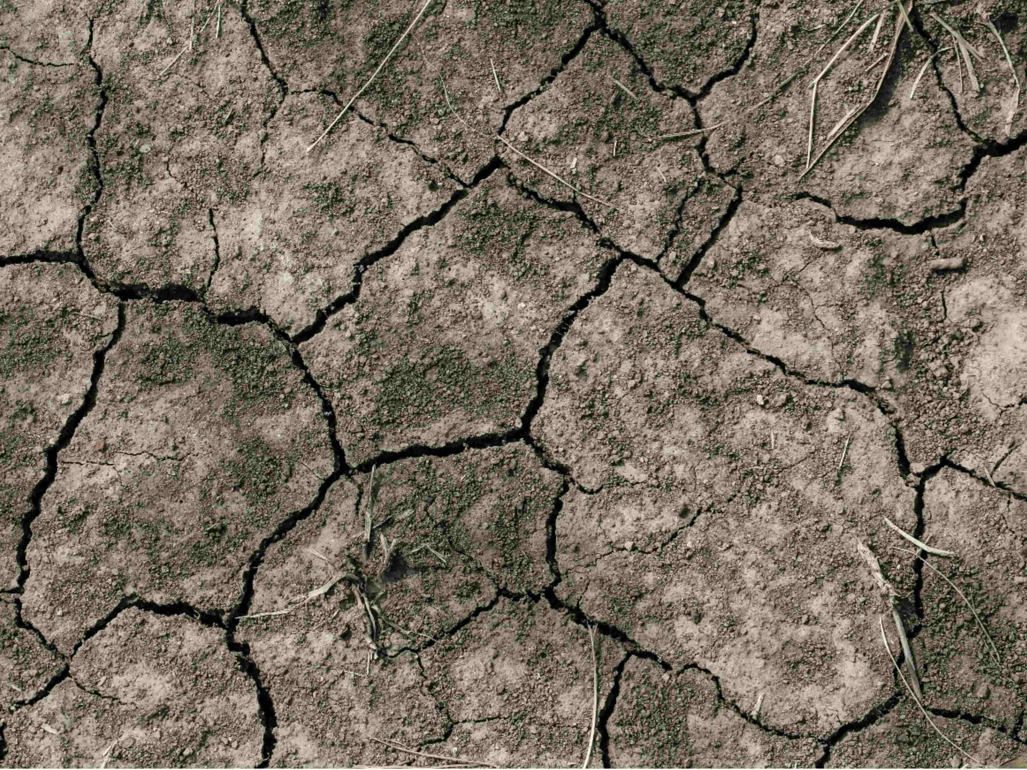 El Niño has officially been declared: how can SEQ prepare?