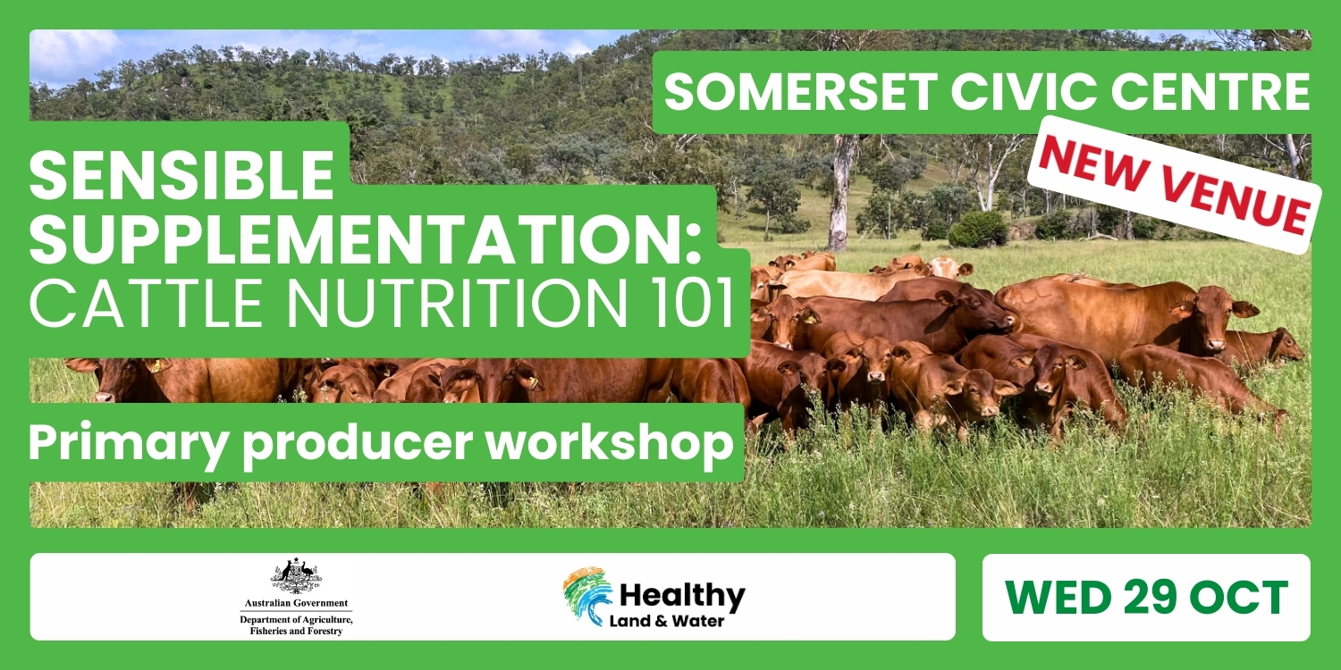 Sensible Supplementation: Cattle Nutrition 101 | Somerset Civic Centre