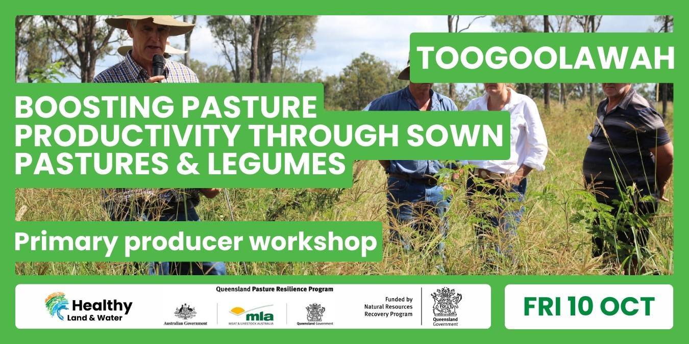 Boosting Pasture Productivity Through Sown Pastures & Legumes | Toogoolawah