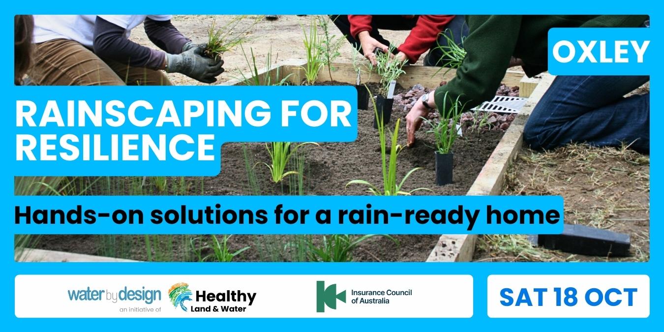 Rainscaping for Resilience: Hands-on solutions for a rain-ready home | Oxley