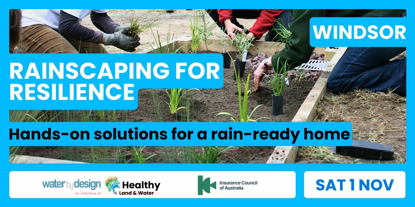 Rainscaping for Resilience: Hands-on solutions for a rain-ready home | Windsor