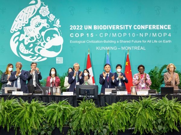‘A historic moment for biodiversity’ – but we can’t stop the momentum