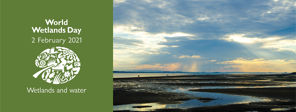 Celebrating the 50th anniversary of global wetland action