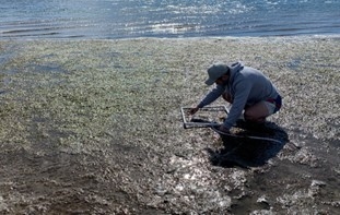 Researcher analysing water