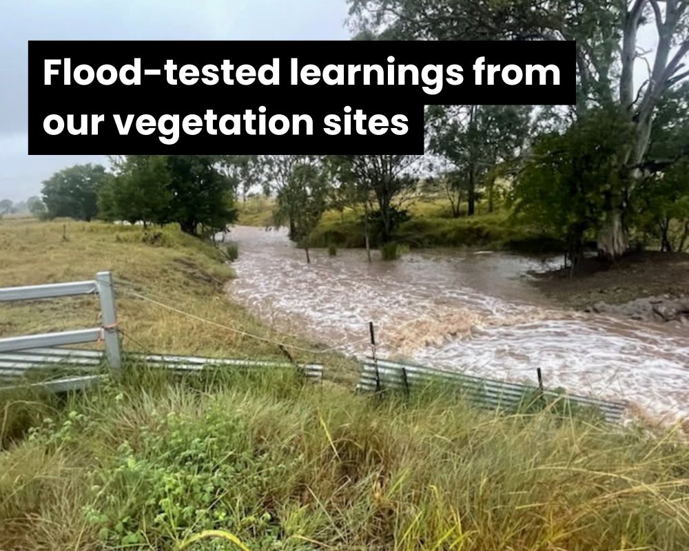 4 big flood-resilience learnings from our sites: the low down following ex-TC Alfred 2025