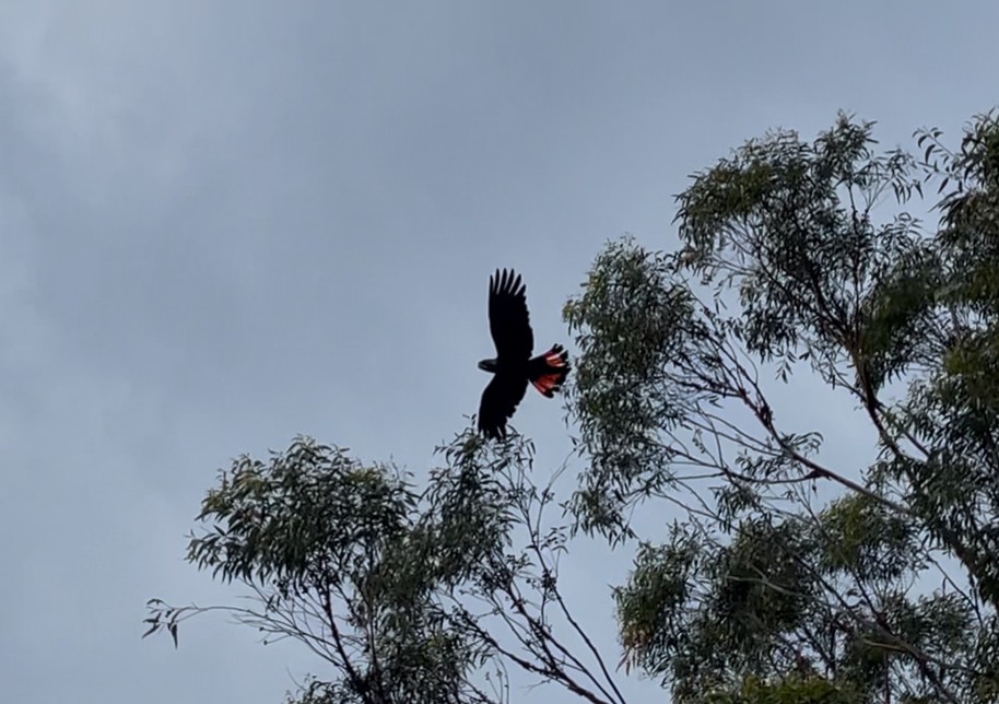 Glossy Black Project Story glossies spotting photo by wayne taylor