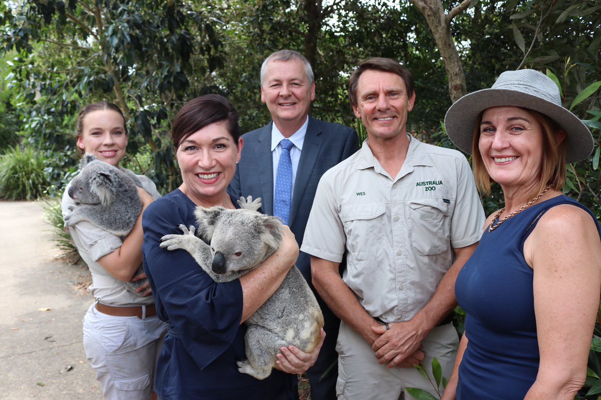 Healthy Land & Water CEO joins new Koala Advisory Council