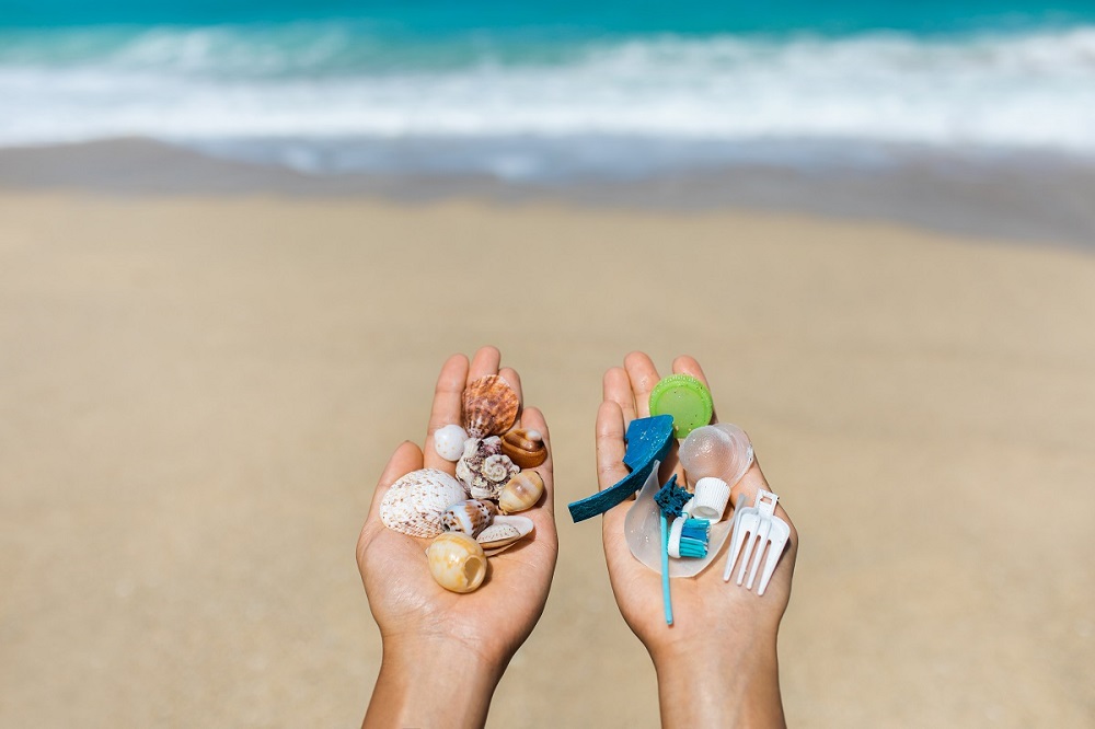 Join the fight against marine debris this Clean Up Australia Day