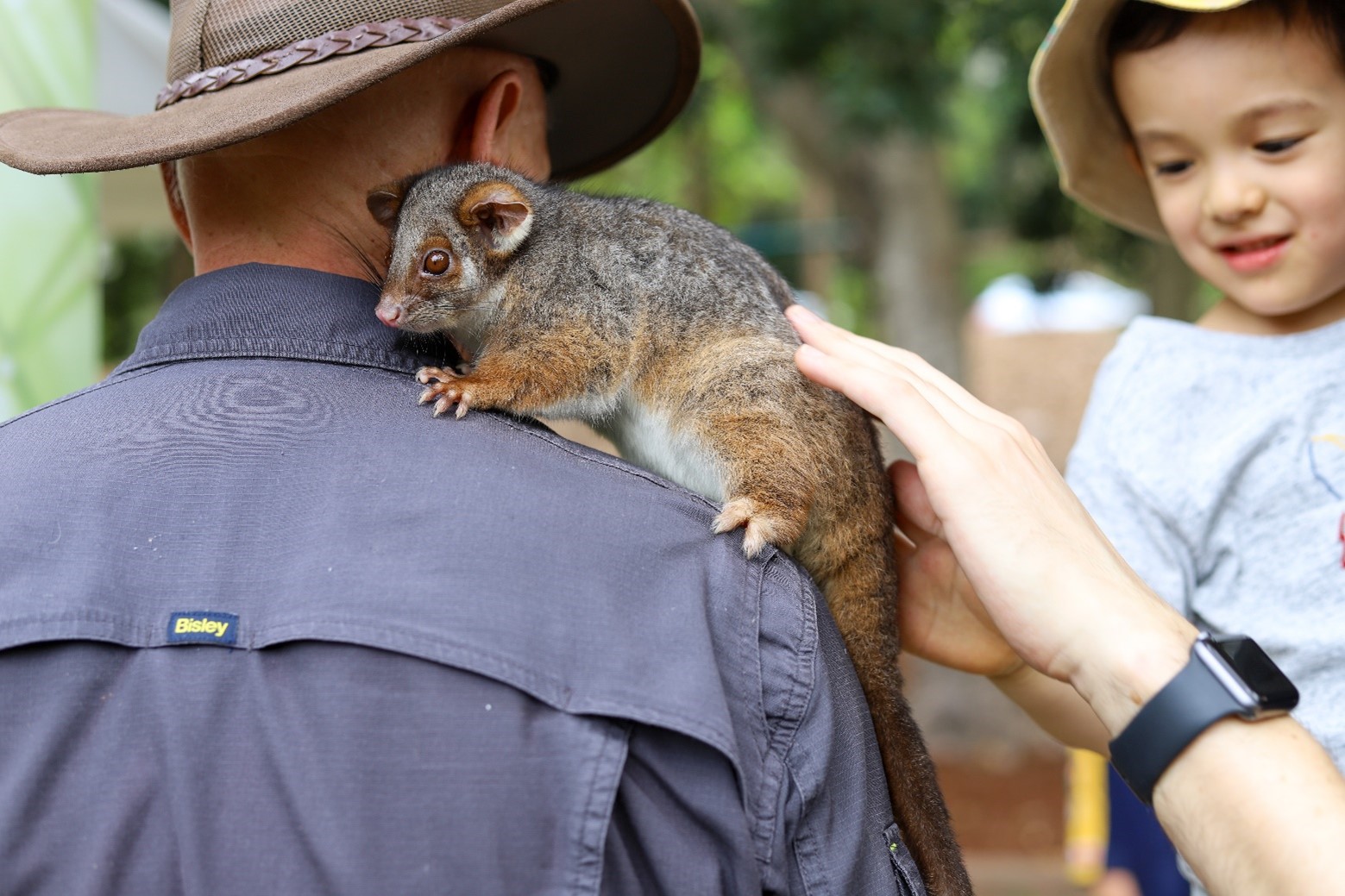 Possum on a man's shoulder and kid smiling