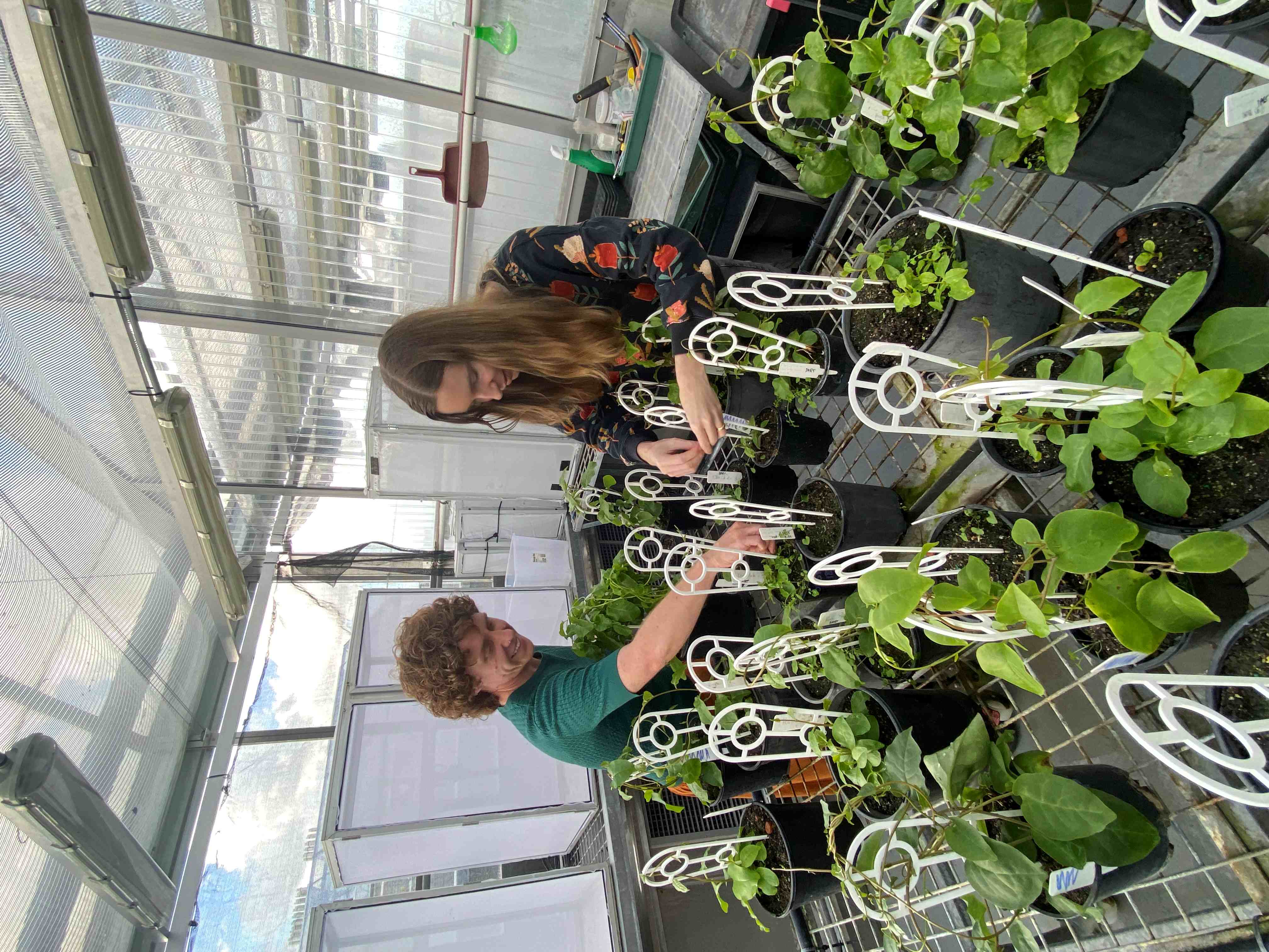 Lou and Jessica tending to the plants low res