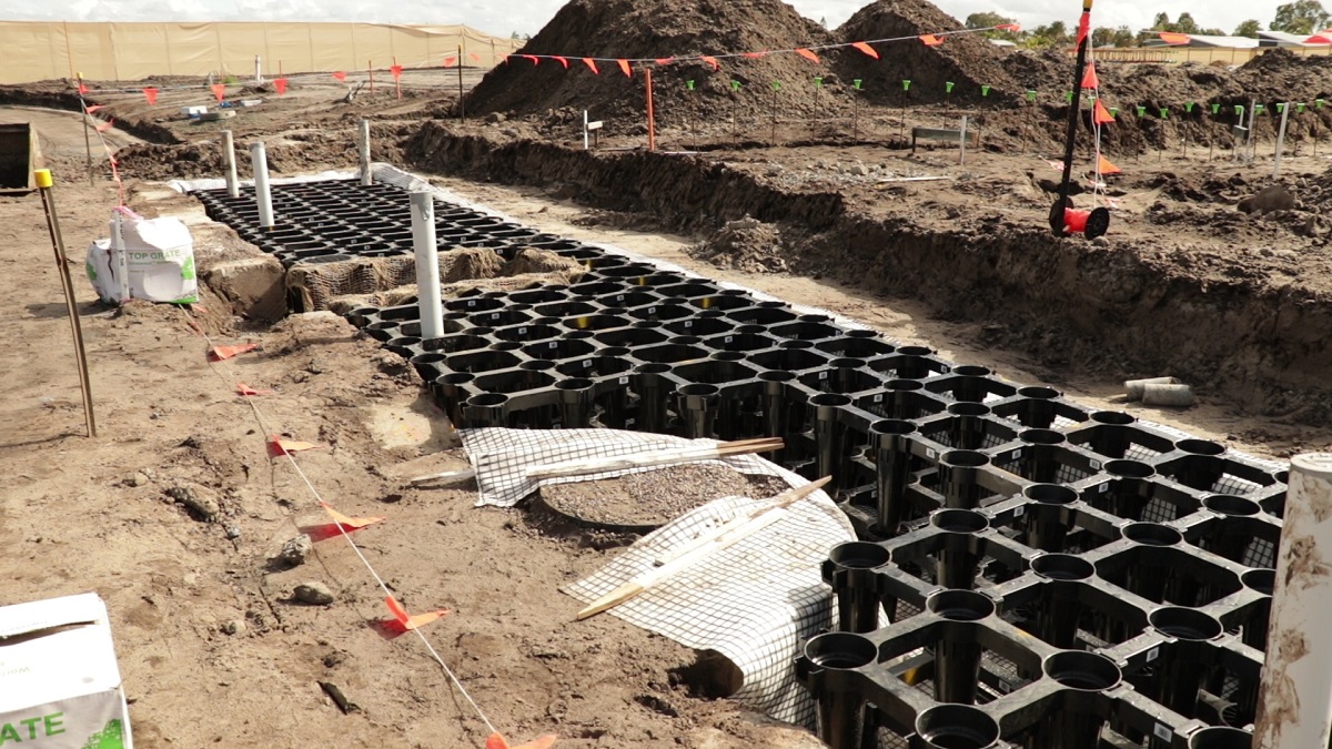 New bioretention trial street tree planted in Pelican Waters