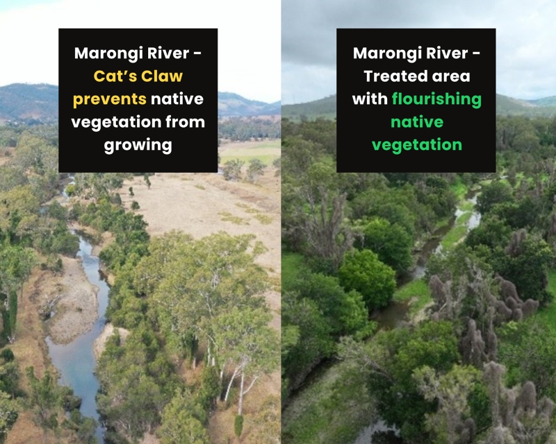 Treated vs untreated