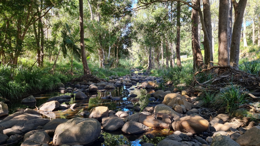Restoration, community stewardship and resilience against erosion: Insights from Enoggera Creek