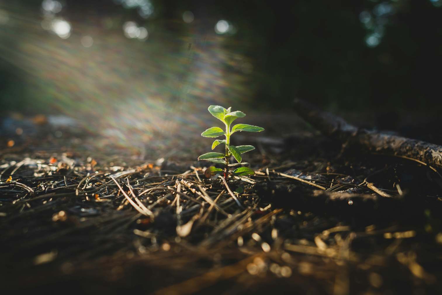 Science for everyone: Healthy Land & Water marks National Science Week 2026 