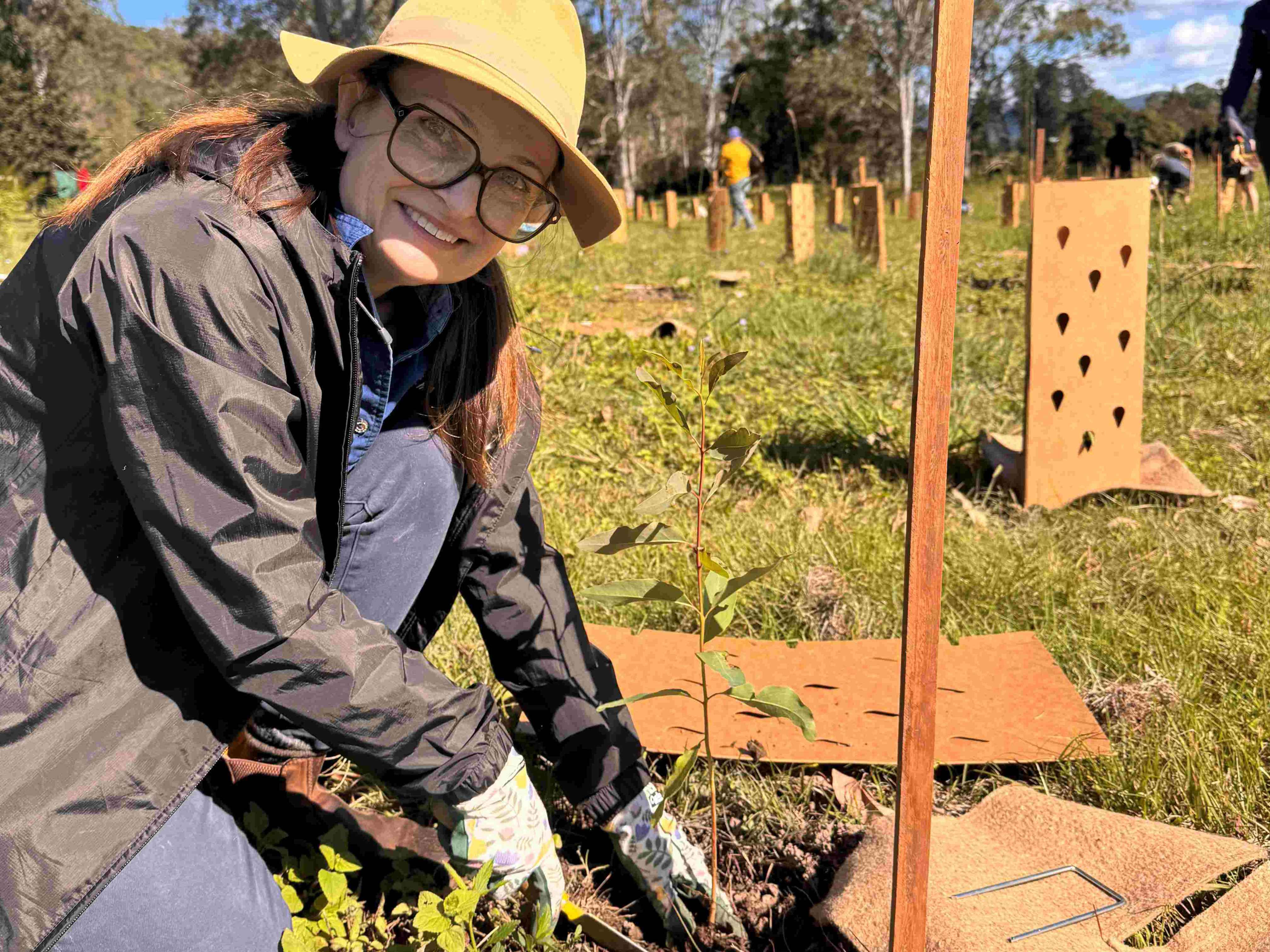 Community unites to restore critical koala habitat at Tuan Environment Reserve