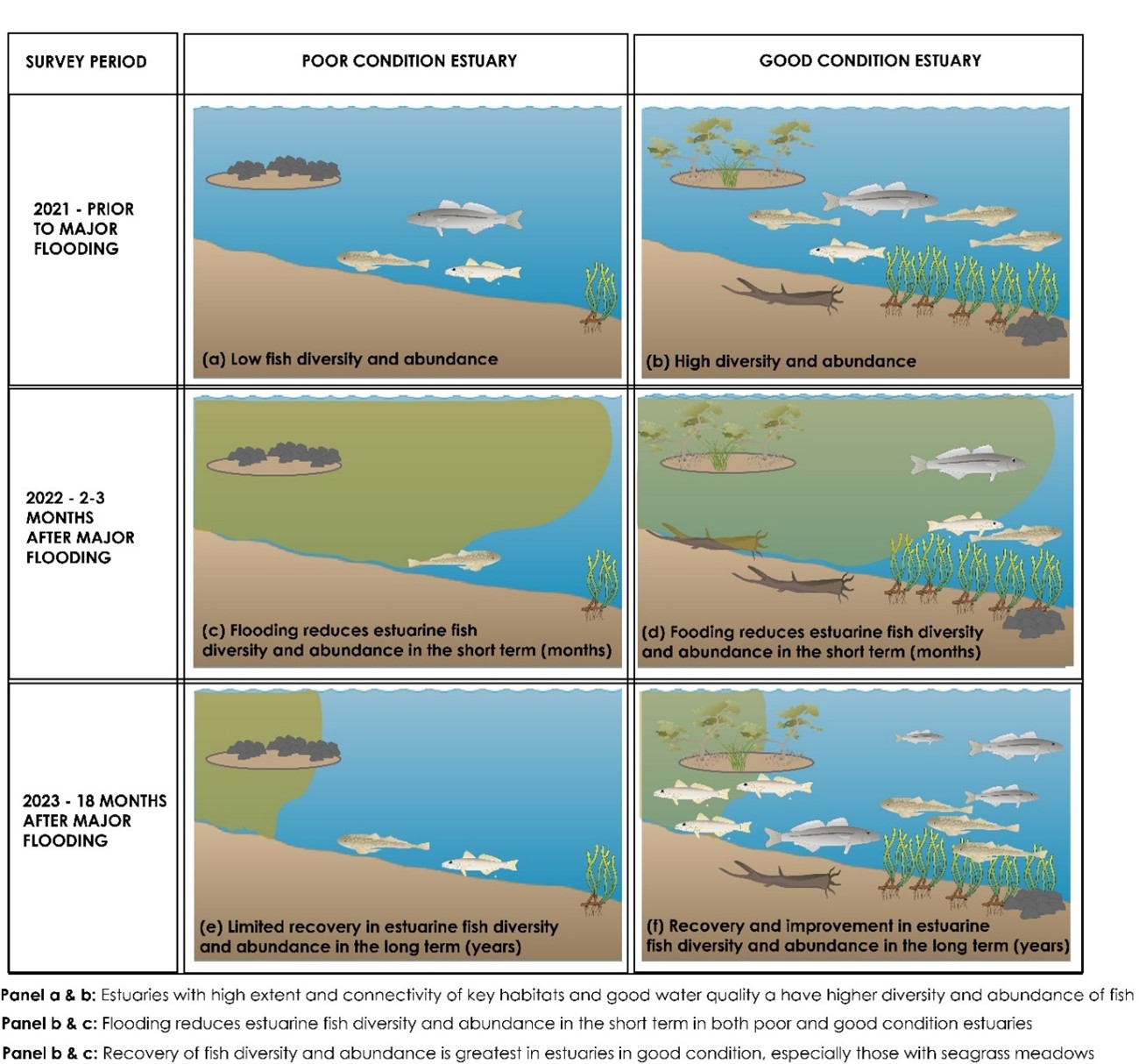 conceptual diagram 2