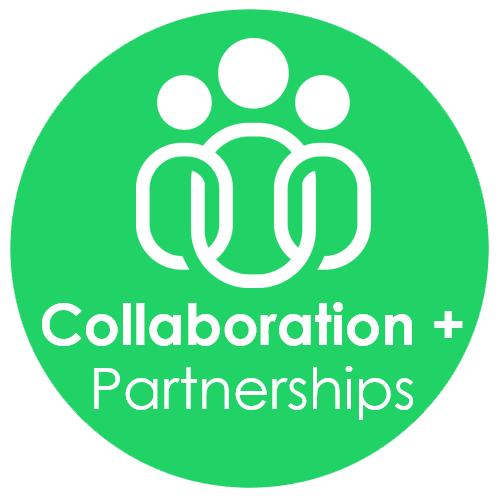 Expertise in collaboration and bringing together synergistic co collaboration partnerships