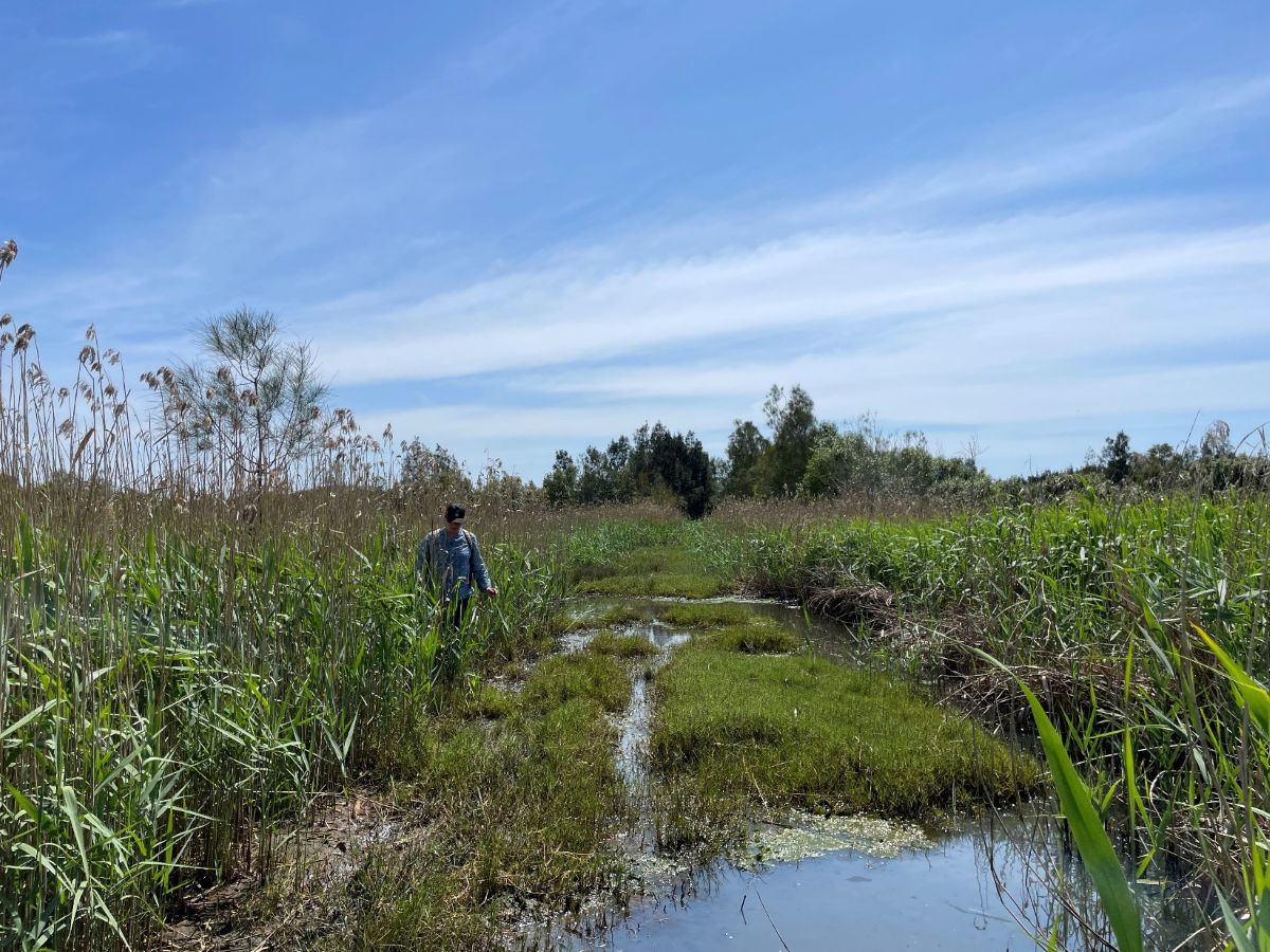 Photo of Margie at Yandina Creek Wetlands assessing water condition
