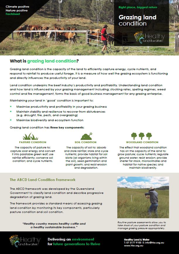 Grazing Land Condition - Factsheet