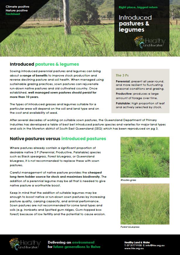 Pasture - Introduced pastures and legumes - Factsheet