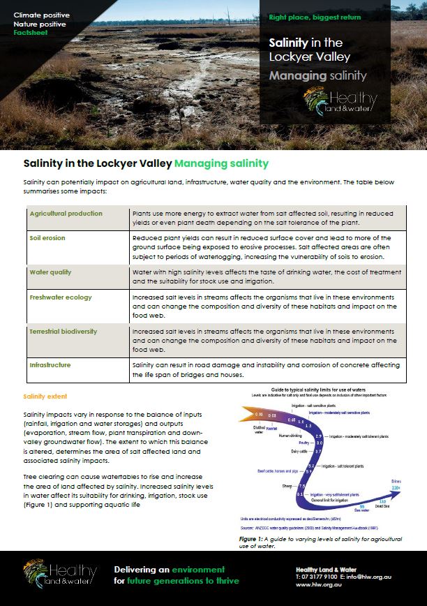 Salinity in the Lockyer Valley - Managing Salinity - Factsheet