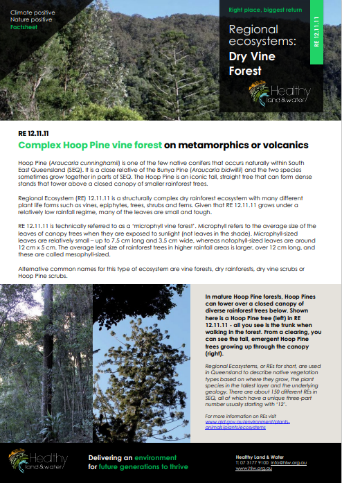 Factsheet Regional Ecosystems Dry Vine Forest 12.11.11