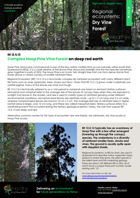 Factsheet Regional Ecosystems Dry Vine Forest 12.5.13