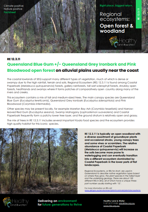 Factsheet Regional Ecosystems Open Forest and Woodland 12.3.11