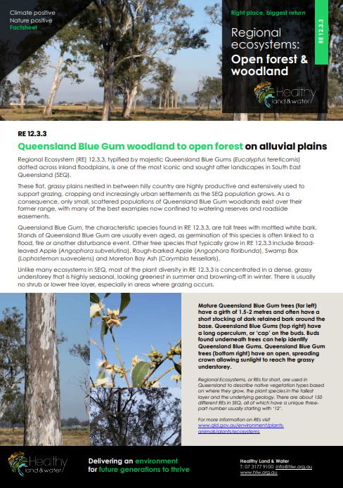 Factsheet Regional Ecosystems Open Forest and Woodland 12.3.3