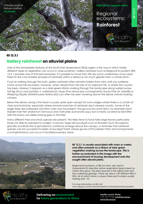 Factsheet Regional Ecosystems Wet Open Forest 12.3.1 (rainforest)