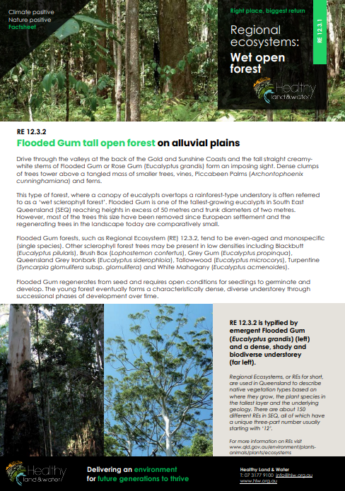Factsheet Regional Ecosystems Wet Open Forest 12.3.2