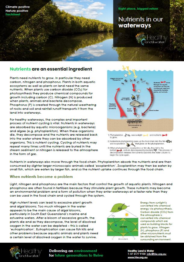 Nutrients in our waterways - Factsheet